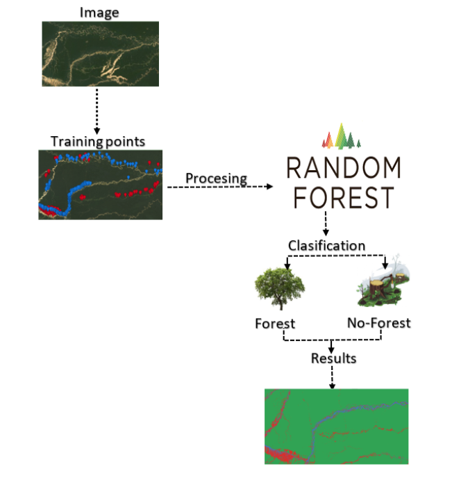 *Selección de puntos*